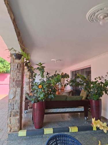 Cuidados-Especiais-para-Idosos-em-Campinas